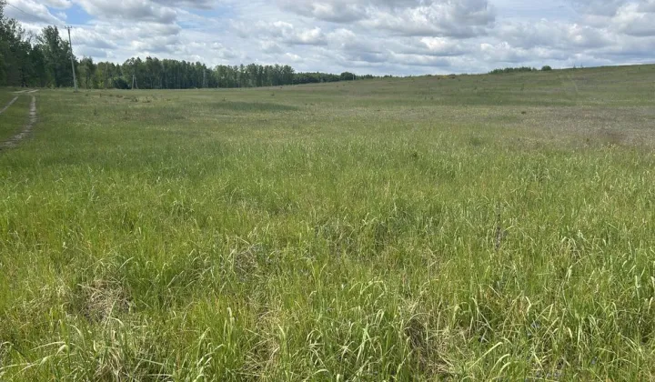 Działka rolno-budowlana Nowogard, ul. Bohaterów Warszawy