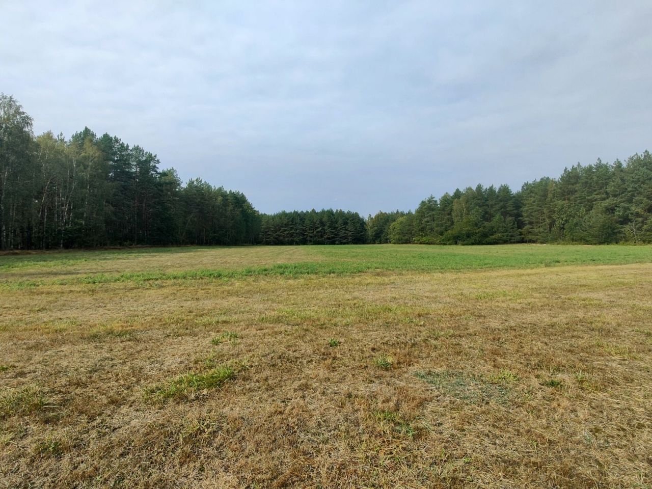 Działka budowlana Olszyny. Zdjęcie 4