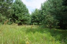 Działka siedliskowa Nagodów. Zdjęcie 2