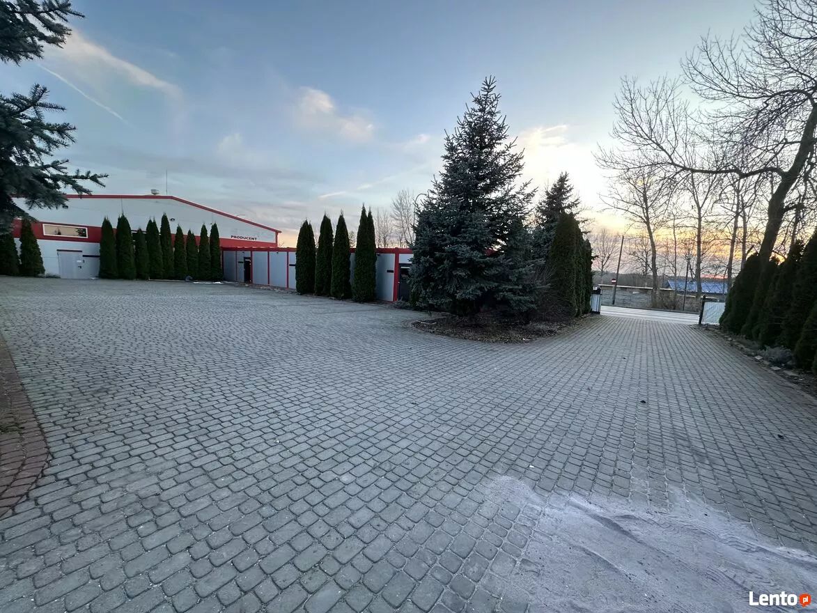 Hala/magazyn Tarnobrzeg Nagnajów, ul. Strefowa. Zdjęcie 9