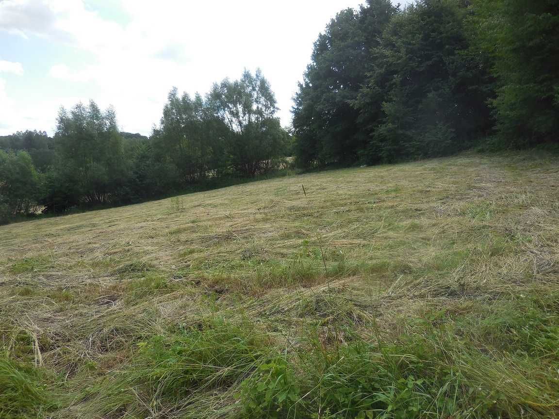 Działka Błędowa Tyczyńska. Zdjęcie 4