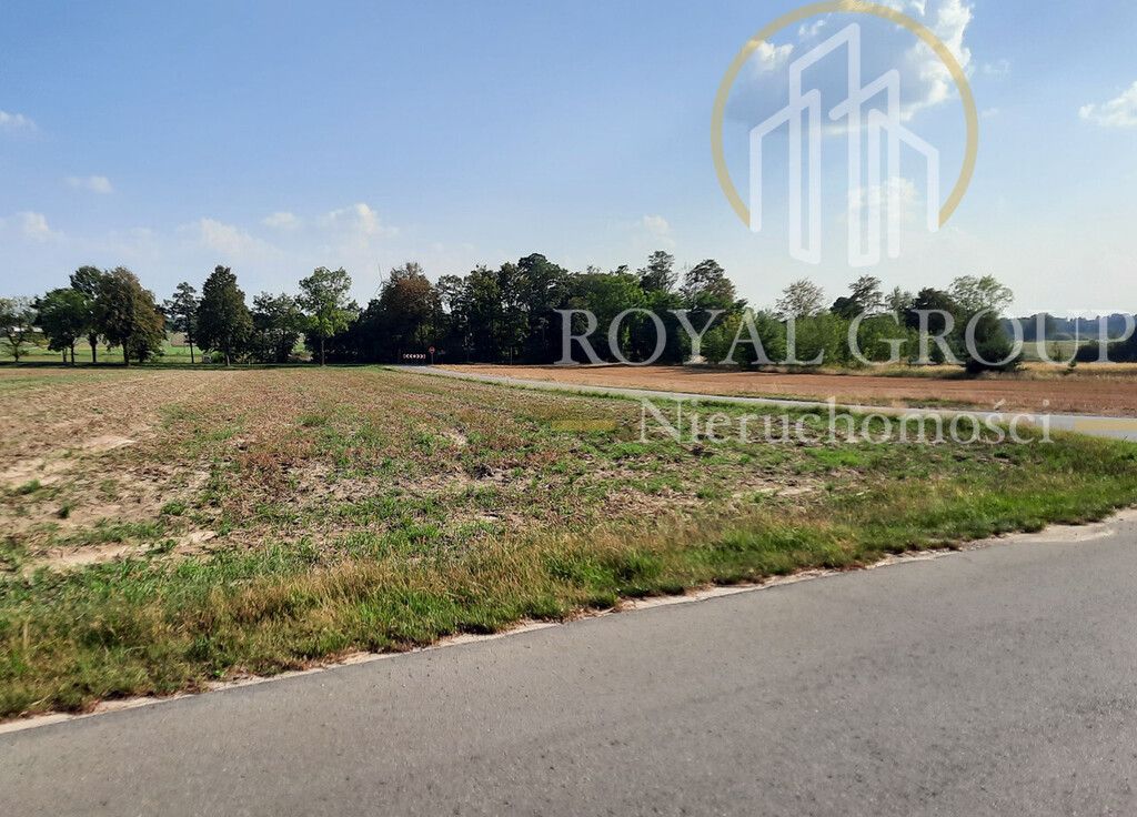 Działka rolna Rudno. Zdjęcie 5