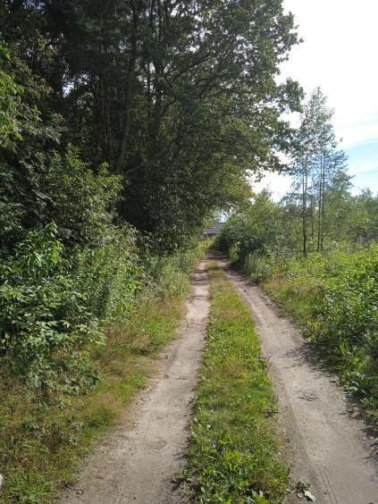 Działka budowlana Zgierz. Zdjęcie 2