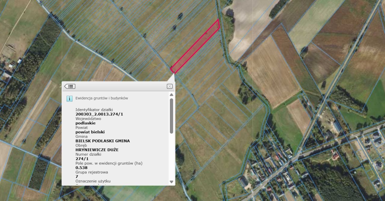 Działka rolna Hryniewicze Duże. Zdjęcie 2