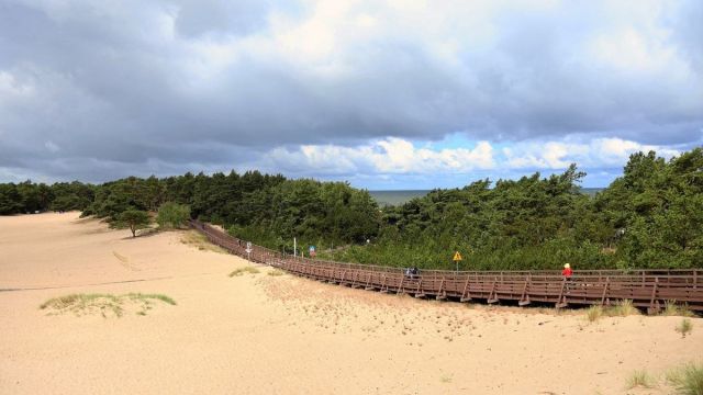 Działka rolna Grzybowo. Zdjęcie 12