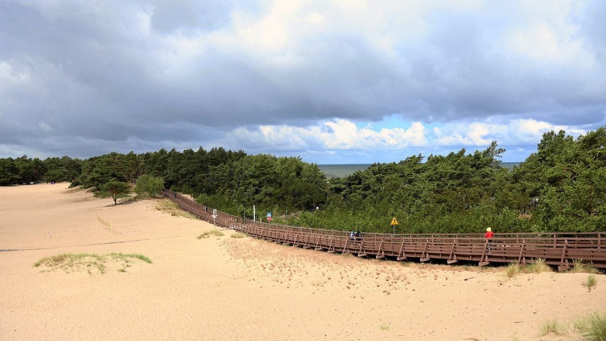 Działka rolna Grzybowo. Zdjęcie 12