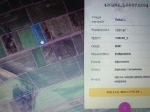 Działka rolna Nieczajna Dolna. Zdjęcie 3