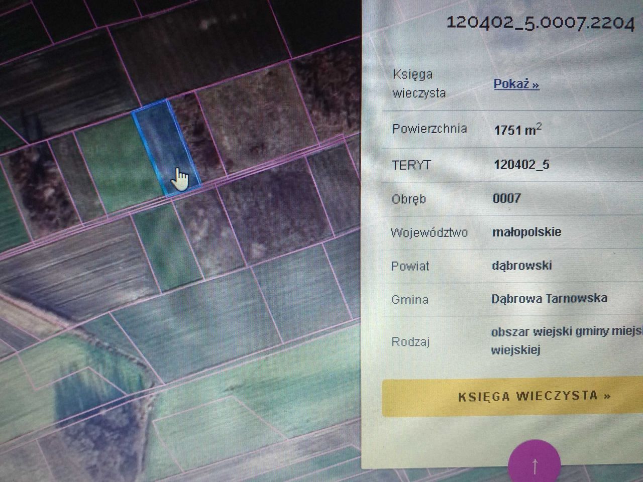 Działka rolna Nieczajna Dolna. Zdjęcie 4