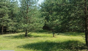 Działka siedliskowa Zalesie Królewskie