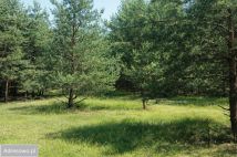 Działka siedliskowa Zalesie Królewskie. Zdjęcie 1