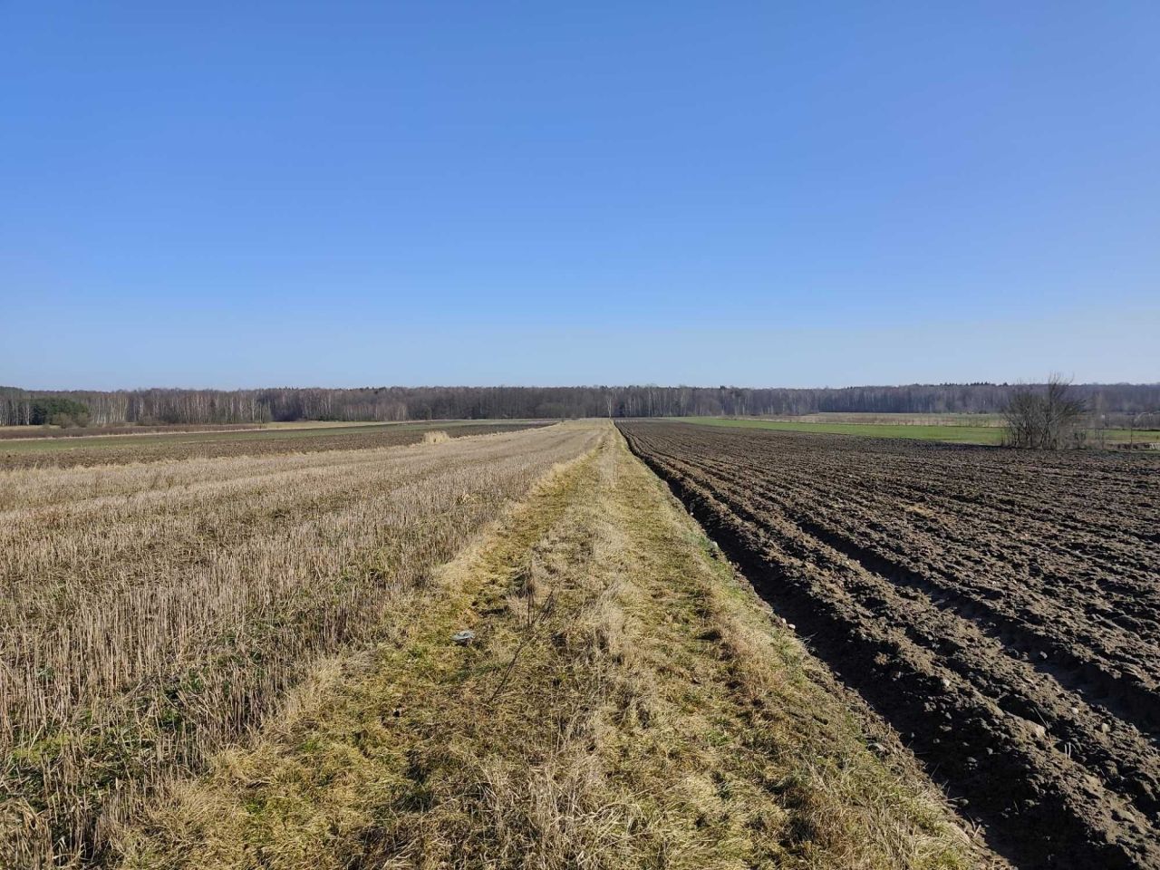 Działka rolno-budowlana Bukowiec, ul. Dolna. Zdjęcie 5