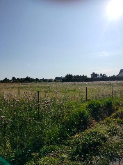 Działka siedliskowa Dygowo