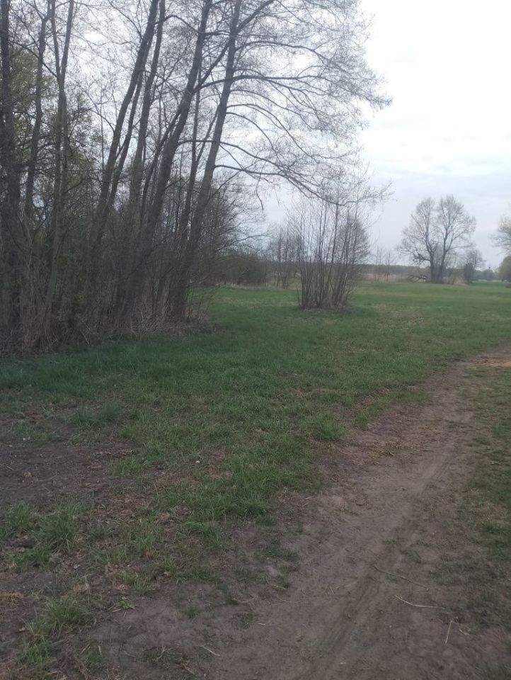 Działka rekreacyjna Zagórów. Zdjęcie 2