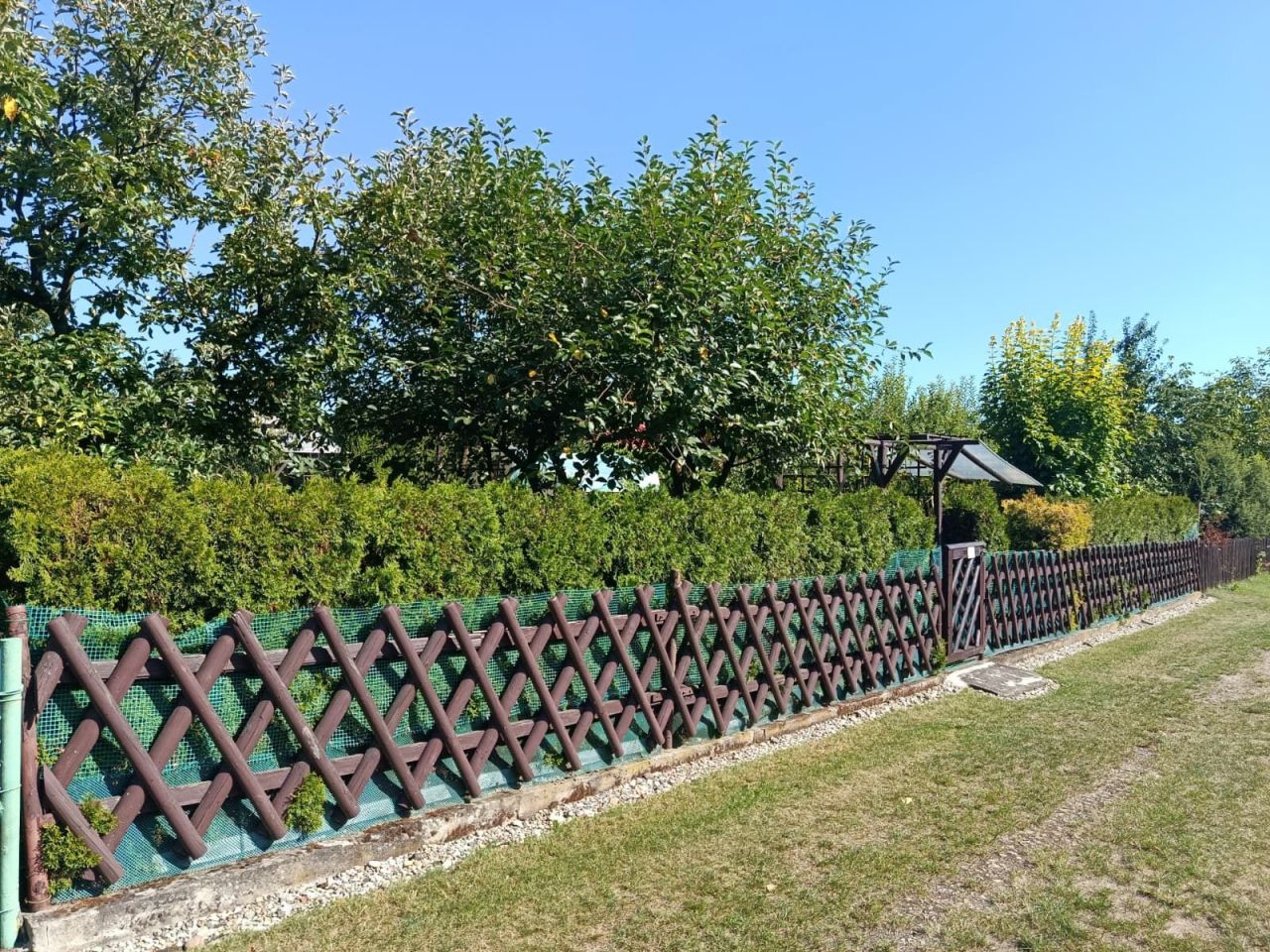 Działka rod Zdzieszowice. Zdjęcie 6