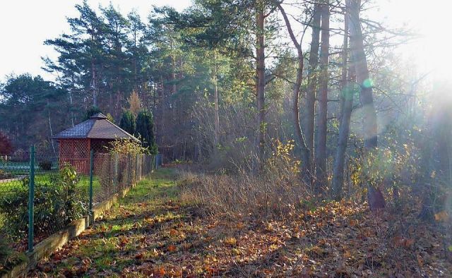 Działka rolno-budowlana Bytnica. Zdjęcie 1