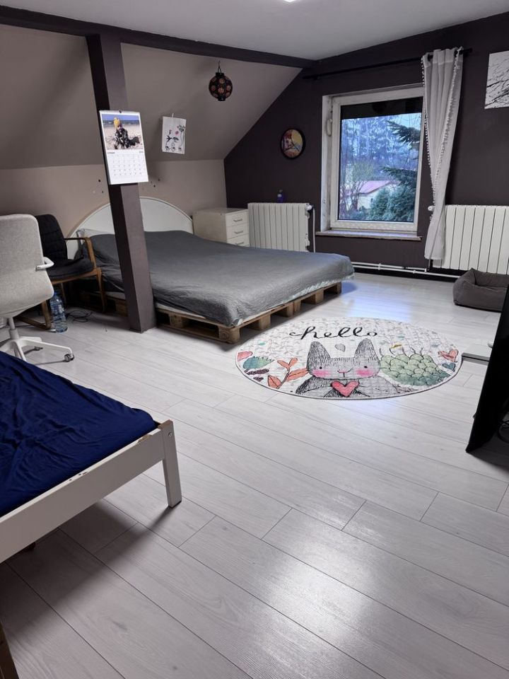 Działka rod Szczecin Golęcino, ul. Pokoju. Zdjęcie 6