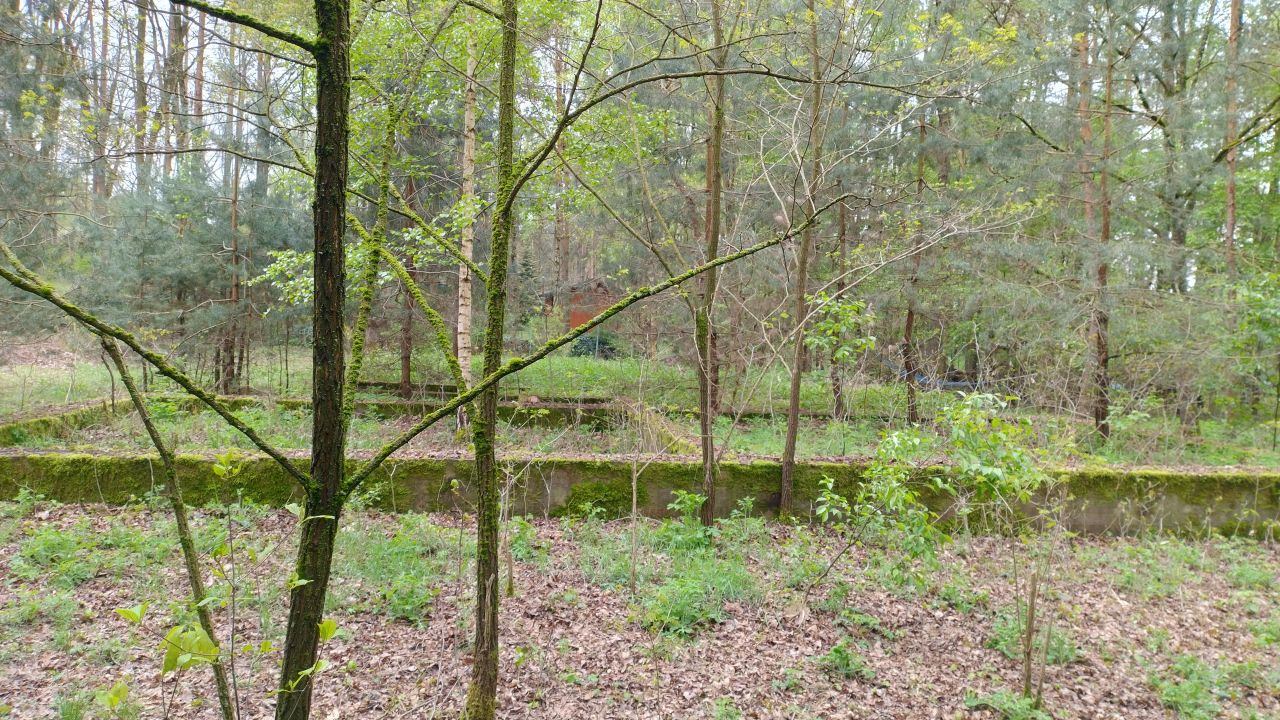 Działka budowlana Zofiówka, ul. Kolorowa. Zdjęcie 7