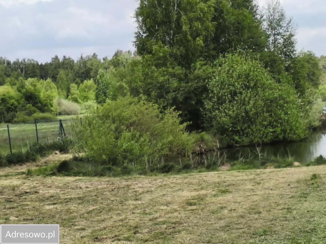 Działka rolno-budowlana Zalesiczki. Zdjęcie 10