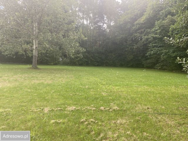 Działka budowlana Władysławów. Zdjęcie 1