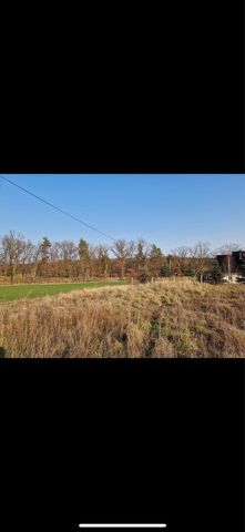 Działka budowlana Rejów. Zdjęcie 1