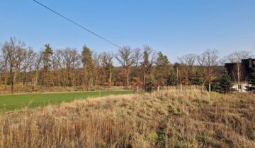 Działka budowlana Rejów