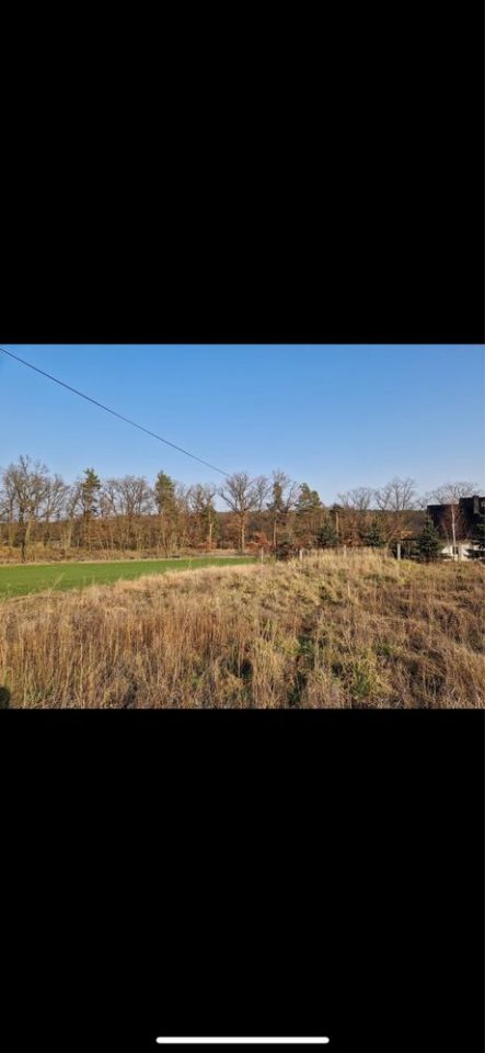 Działka budowlana Rejów