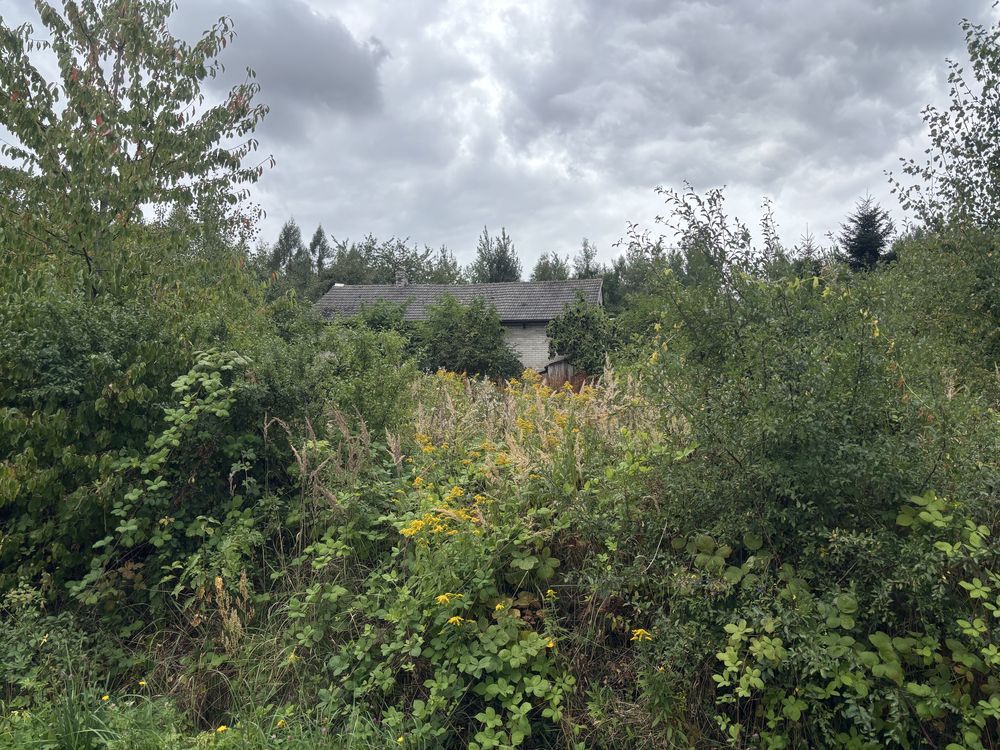 Działka budowlana Wola Łagowska. Zdjęcie 3