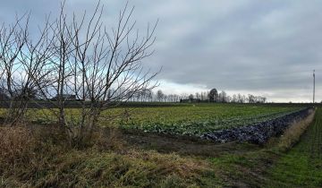 Działka rolno-budowlana Makocice