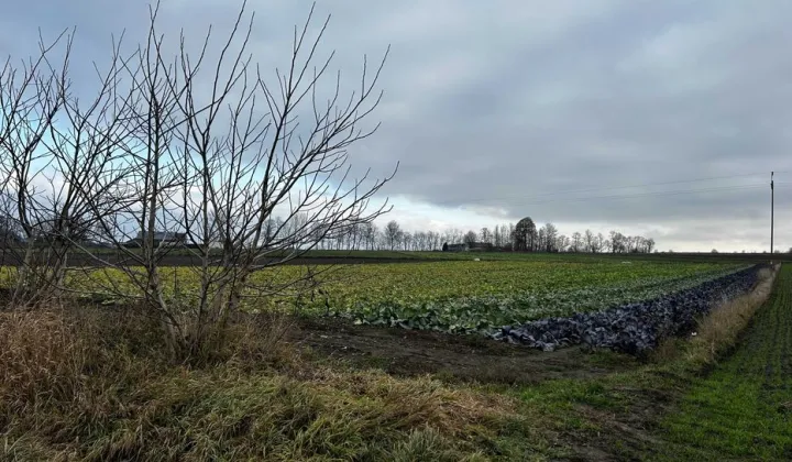 Działka rolno-budowlana Makocice