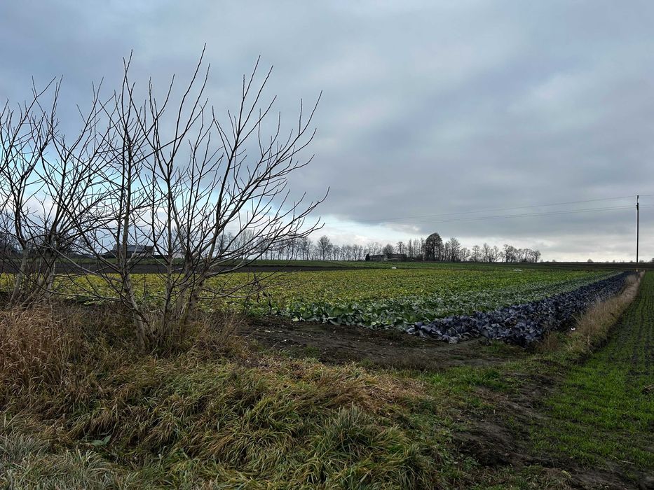 Działka rolno-budowlana Makocice