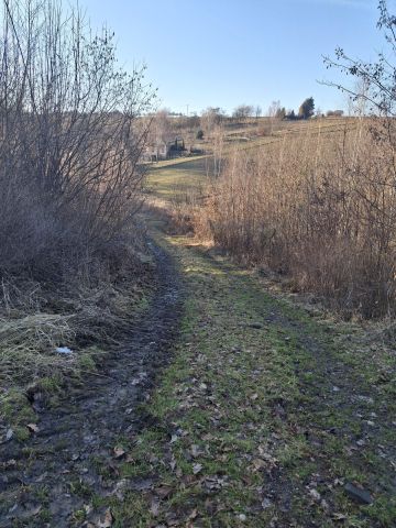 Działka budowlana Kozierów, ul. Lipowa. Zdjęcie 1