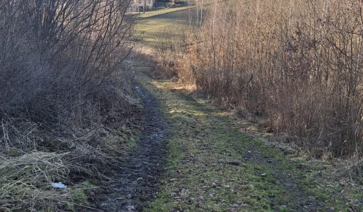 Działka budowlana Kozierów, ul. Lipowa