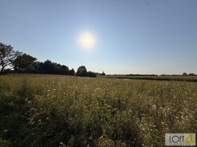 Działka rolna Mędrzechów. Zdjęcie 11