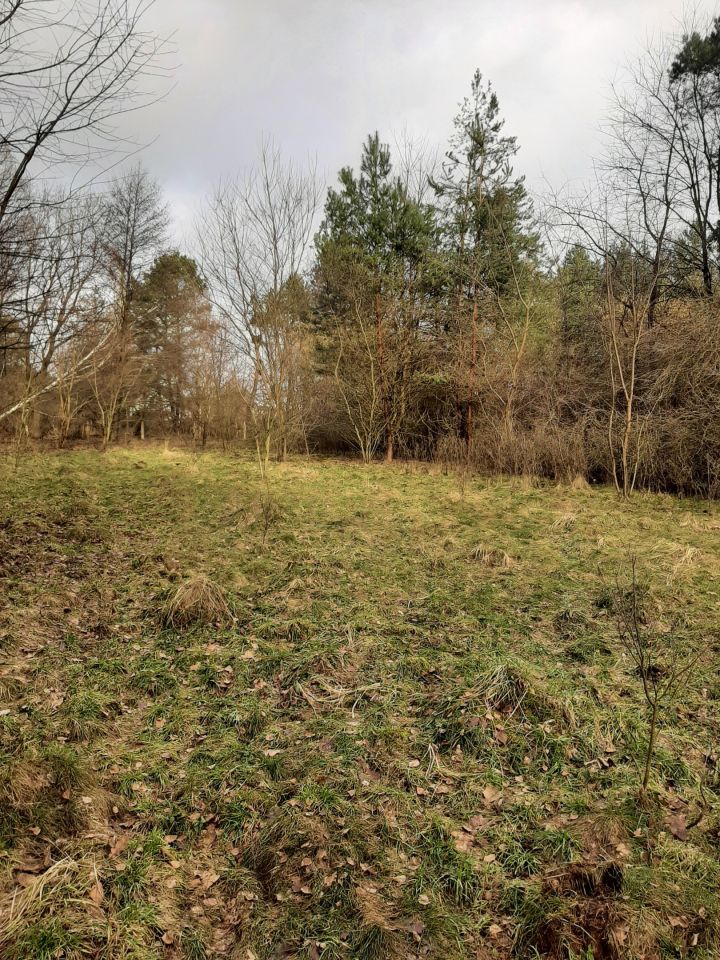 Działka budowlana Bargłówka, ul. Raciborska. Zdjęcie 4