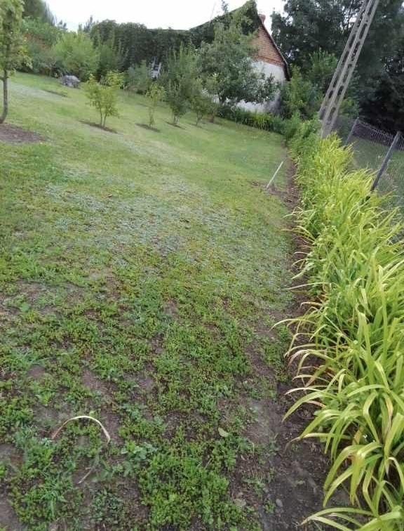 gospodarstwo, 1 pokój Bereżnica. Zdjęcie 8