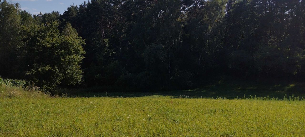 Działka rolno-budowlana Radzynek. Zdjęcie 3