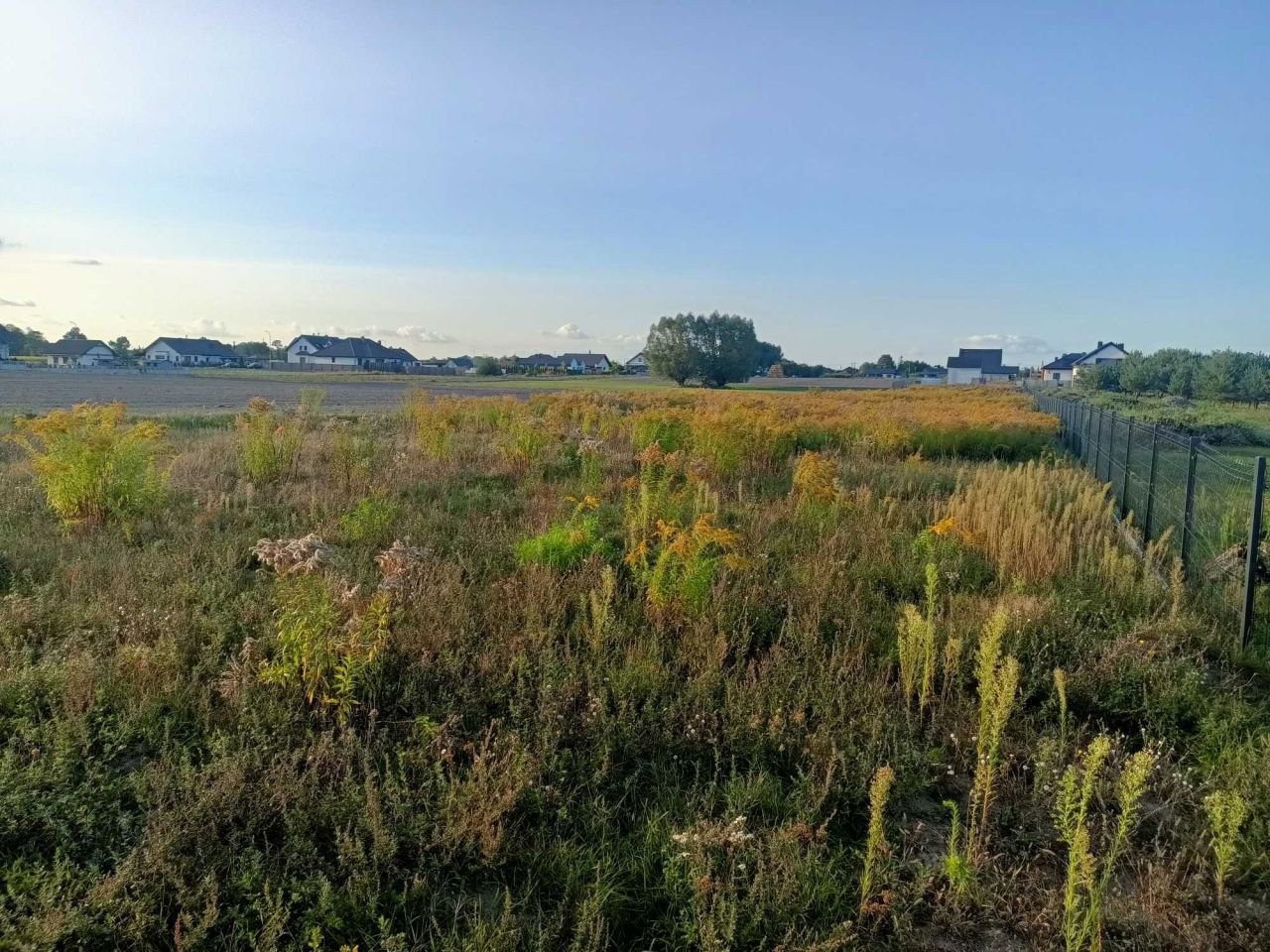 Działka budowlana Osiniec. Zdjęcie 3