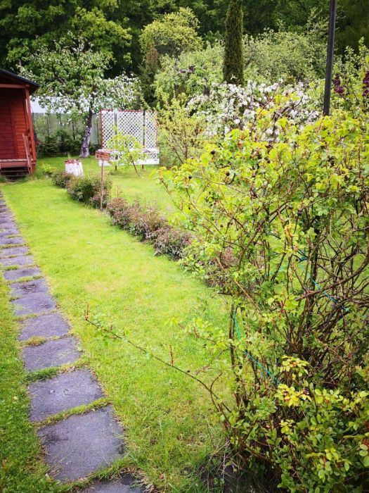 Działka rod Sopot Sopot Górny, ul. Mikołaja Reja. Zdjęcie 9