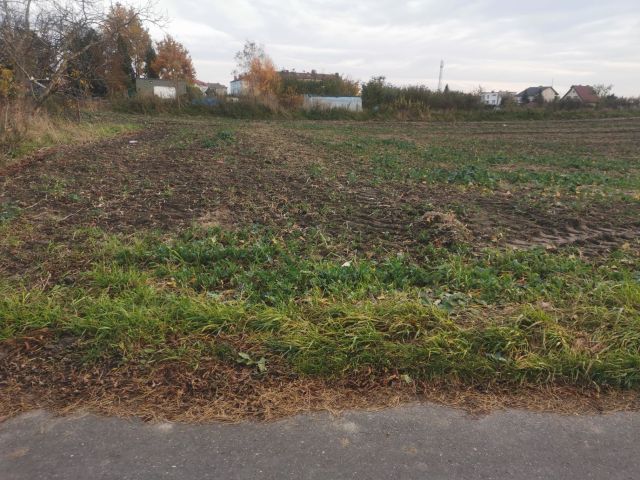 Działka budowlana Lisewo. Zdjęcie 1