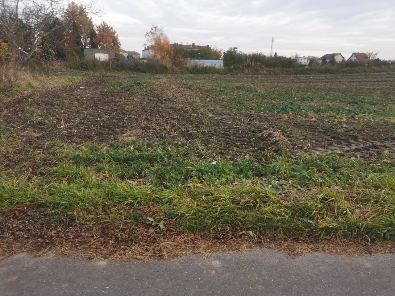 Działka budowlana Lisewo