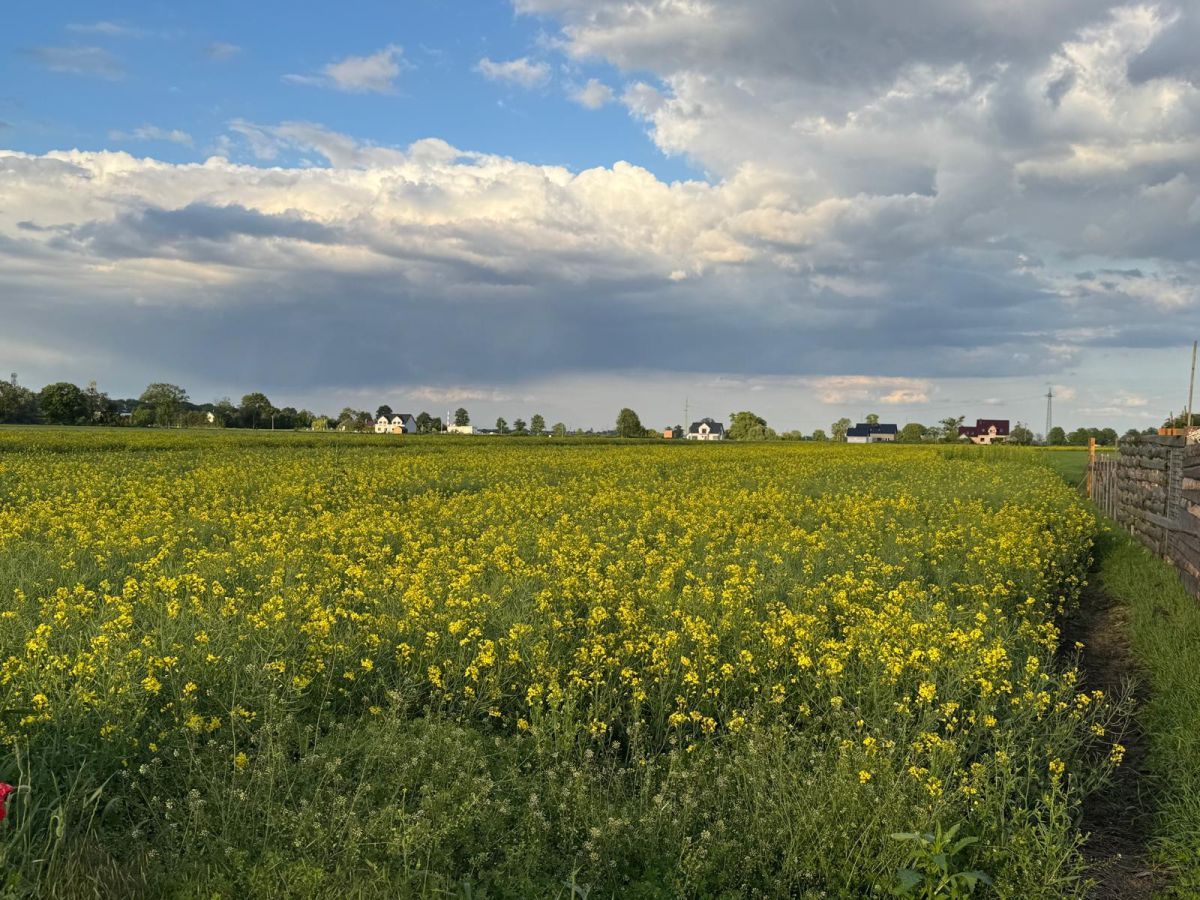 Działka budowlana Żerniki Wrocławskie, ul. Dębowa. Zdjęcie 11