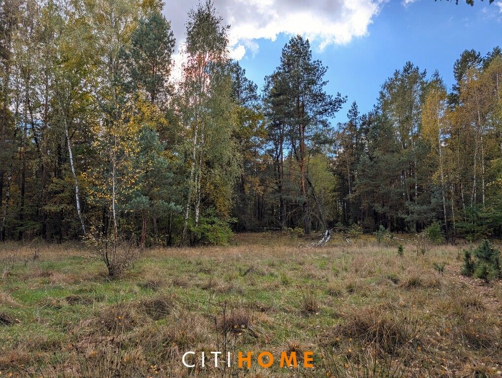 Działka siedliskowa Czarnowiec. Zdjęcie 3