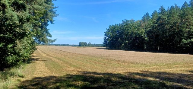 Działka rolna Kiełpiny. Zdjęcie 1