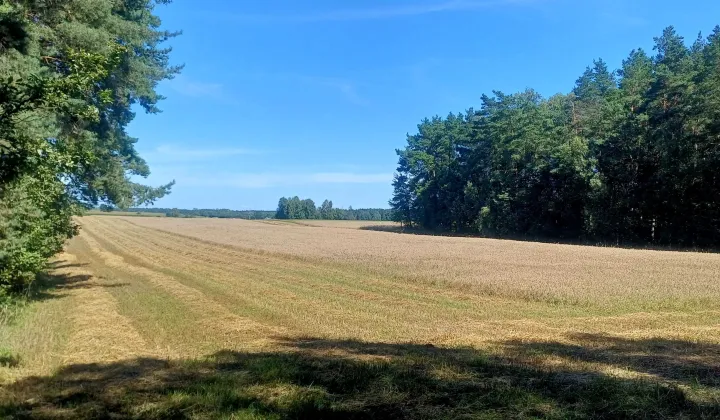 Działka rolna Kiełpiny