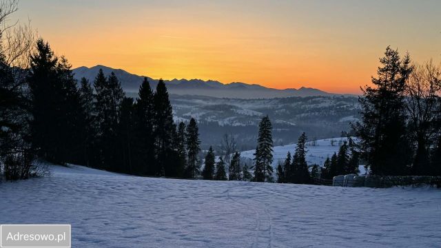 Działka budowlana Rzepiska, ul. Pawliki. Zdjęcie 1