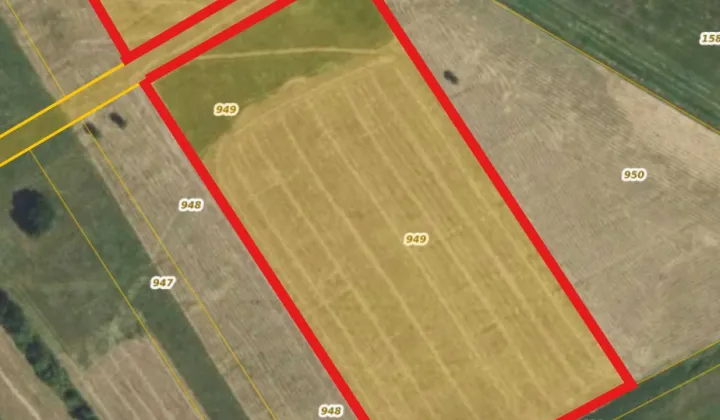 Działka rolna Tymianka