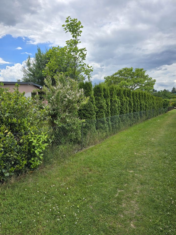Działka rod Głogów. Zdjęcie 3