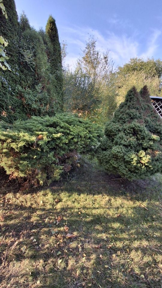 Działka rod Radomsko, ul. Brzeźnicka. Zdjęcie 4