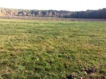 Działka rolna Leniuszki. Zdjęcie 2