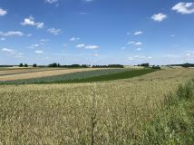 Działka rolna Tczyca Tczyca Duchowna. Zdjęcie 3